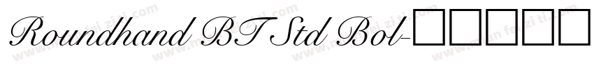 Roundhand BT Std Bol字体转换
